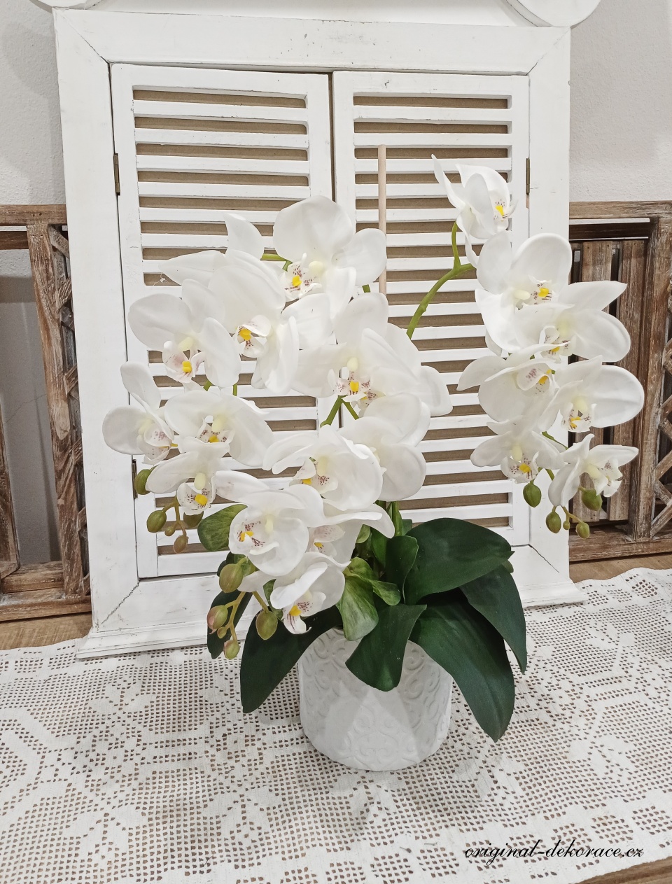 Bílá orchidej v bílém obalu